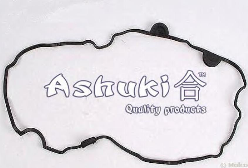 Ashuki 0366-6404 - Прокладка, крышка головки цилиндра autobalta.com