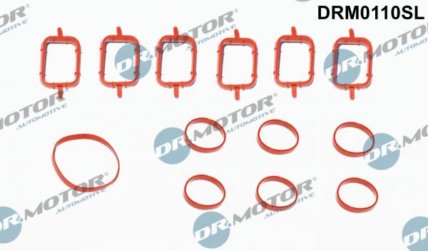 Dr.Motor Automotive DRM0110SL - Комплект прокладок, впускной коллектор autobalta.com