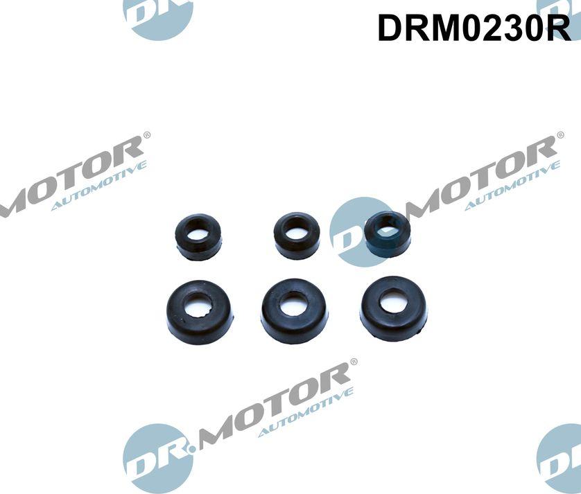 Dr.Motor Automotive DRM0230R - Прокладка, болт крышка головки цилиндра autobalta.com