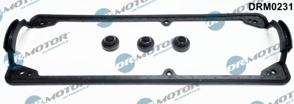 Dr.Motor Automotive DRM0231 - Комплект прокладок, крышка головки цилиндра autobalta.com