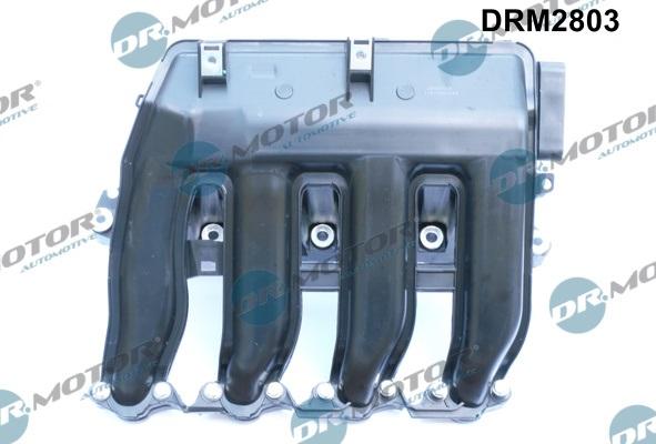 Dr.Motor Automotive DRM2803 - Модуль впускной трубы autobalta.com
