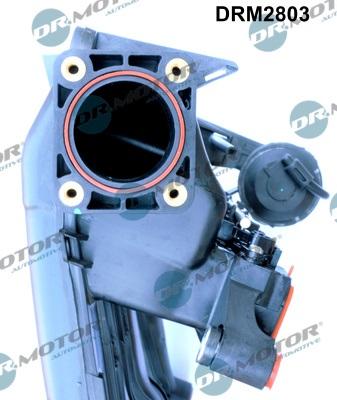 Dr.Motor Automotive DRM2803 - Модуль впускной трубы autobalta.com