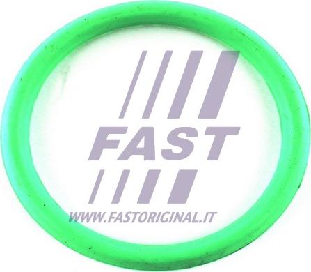 Fast FT49434 - Прокладка, впускной коллектор autobalta.com