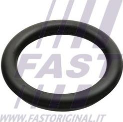 Fast FT49426 - Прокладка, впускной коллектор autobalta.com