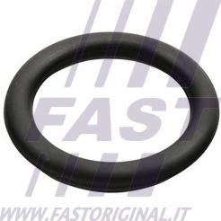 Fast FT49426 - Прокладка, впускной коллектор autobalta.com