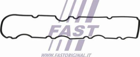 Fast FT49060 - Прокладка, крышка головки цилиндра autobalta.com