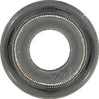 Glaser P76956-00 - Уплотнительное кольцо, стержень клапана autobalta.com