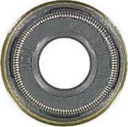 Glaser P76880-00 - Уплотнительное кольцо, стержень клапана autobalta.com