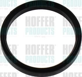 Hoffer 016243 - Прокладка, впускной коллектор autobalta.com