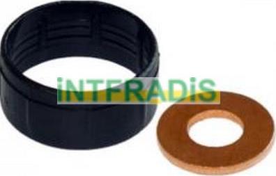 INTFRADIS 10125 - Комплект прокладок, форсунка autobalta.com