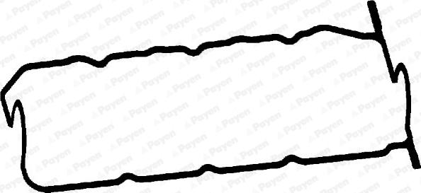 Payen JM5148 - Прокладка, крышка головки цилиндра autobalta.com