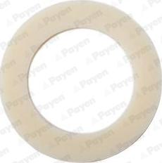 Payen KG5144 - Уплотнительное кольцо, резьбовая пробка маслосливного отверстия autobalta.com