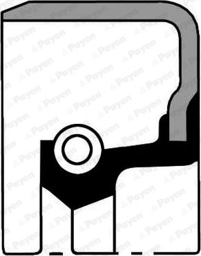 Payen NF185 - Уплотняющее кольцо, сальник, ступица колеса autobalta.com