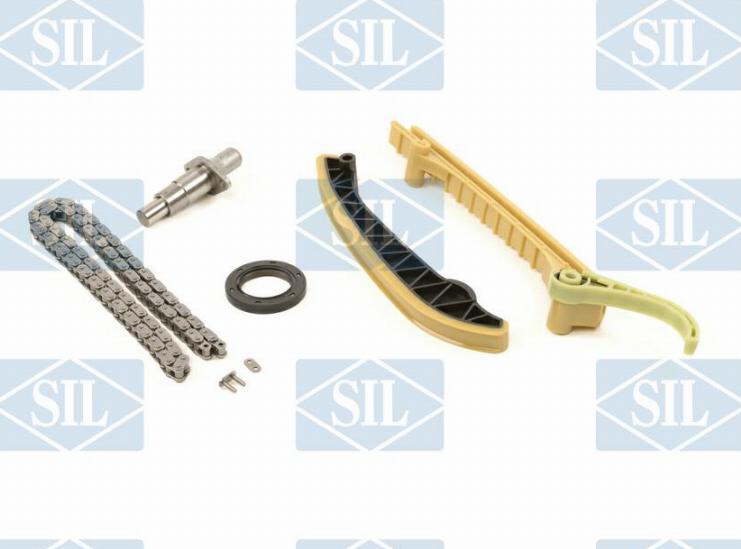 Saleri SIL CK5083 - Комплект цепи привода распредвала autobalta.com