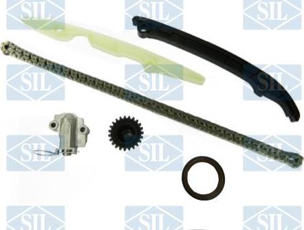 Saleri SIL CK5087 - Комплект цепи привода распредвала autobalta.com