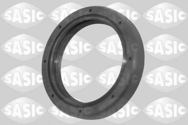 Sasic 1954011 - Уплотняющее кольцо, дифференциал autobalta.com