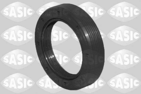Sasic 1956001 - Уплотняющее кольцо, распредвал autobalta.com