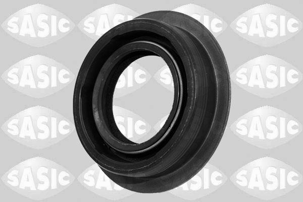 Sasic 1950013 - Уплотняющее кольцо, дифференциал autobalta.com