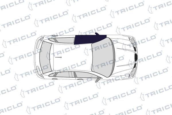 Triclo 103039 - Стеклоподъемник autobalta.com