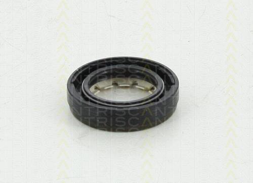 Triscan 8550 10043 - Уплотняющее кольцо, дифференциал autobalta.com