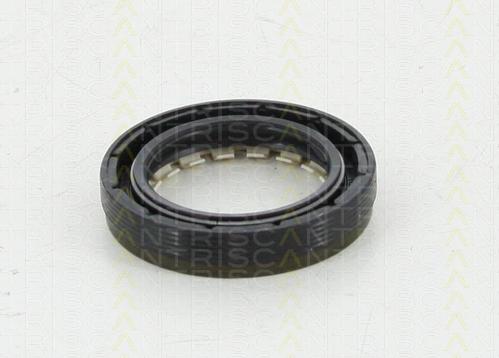 Triscan 8550 10024 - Уплотняющее кольцо, дифференциал autobalta.com