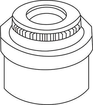 WXQP 313039 - Уплотнительное кольцо, стержень клапана autobalta.com